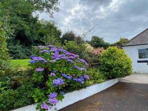 A garden with purple flowers, a white building, and a cloudy sky.