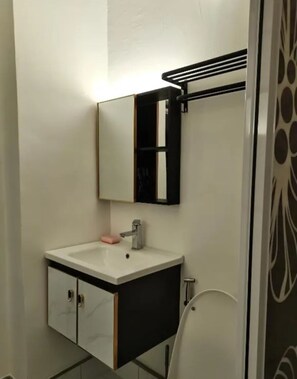 Shower, hair dryer, bidet, towels