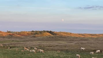 Hus | Utsikt fra overnattingsstedet