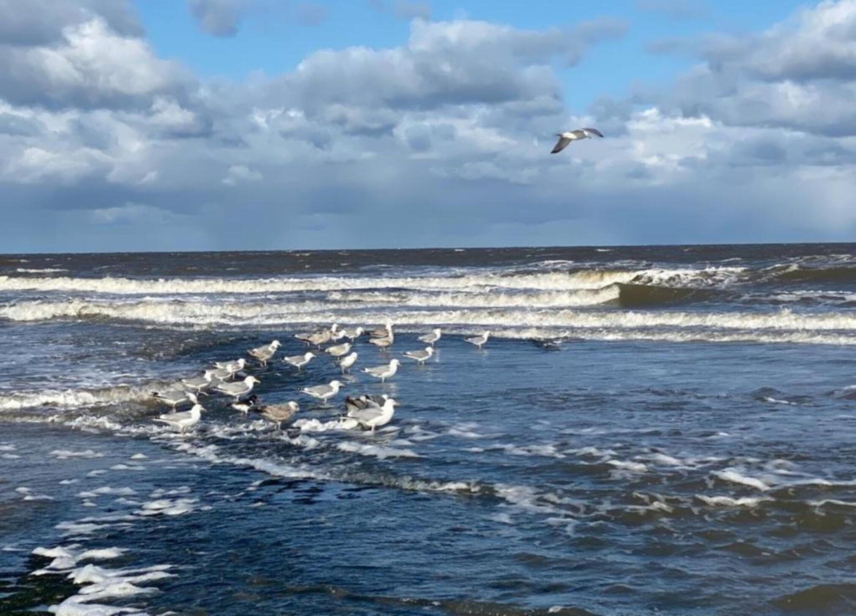 House | View from property