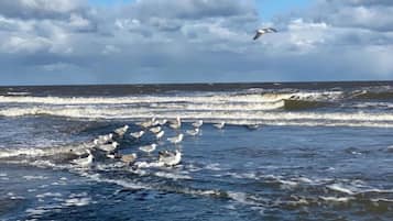 House | View from property