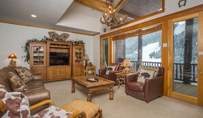 TV connectée, cheminée, lecteur de DVD, livres