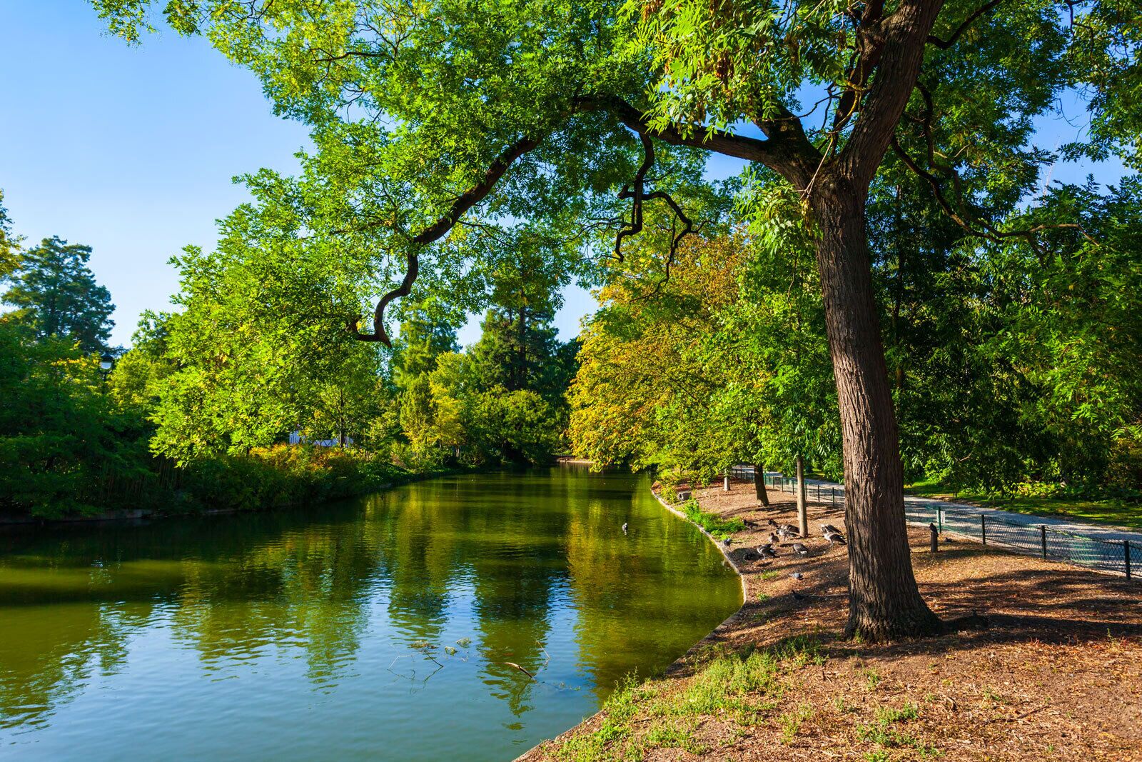 Un parque tranquilo junto al río, con árboles, un cuerpo de agua apacible y un sendero para caminar.