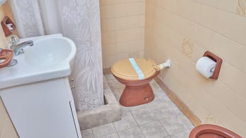 Regadera, bidet, toallas, shampoo