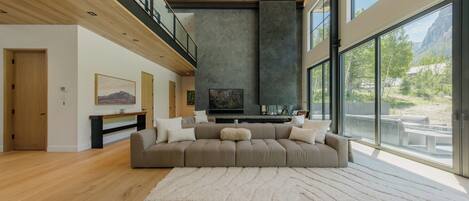 Smart TV, fireplace, books