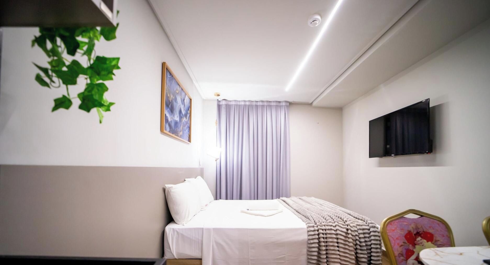Ein Hotelzimmer mit einem Bett, einem Fernseher, einem Fenster mit Vorhängen und einer Pflanze.