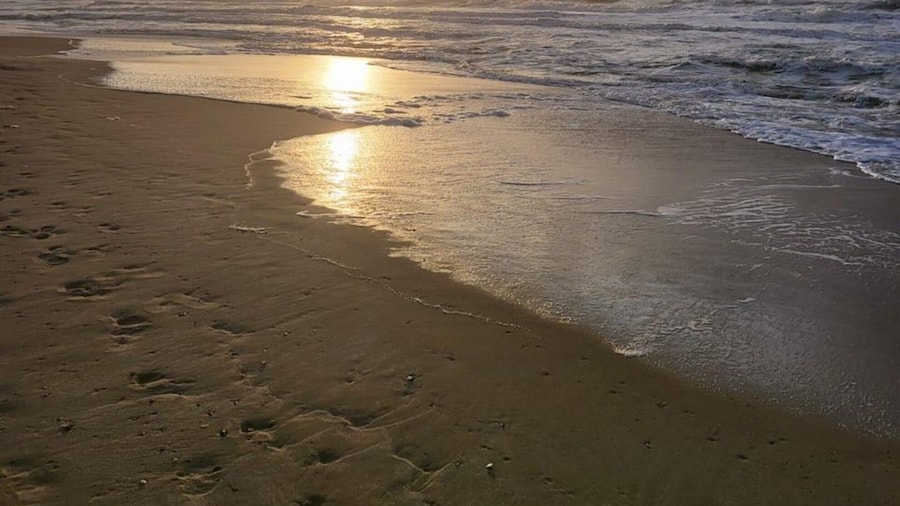 Inviting Bungalow With Private Garden