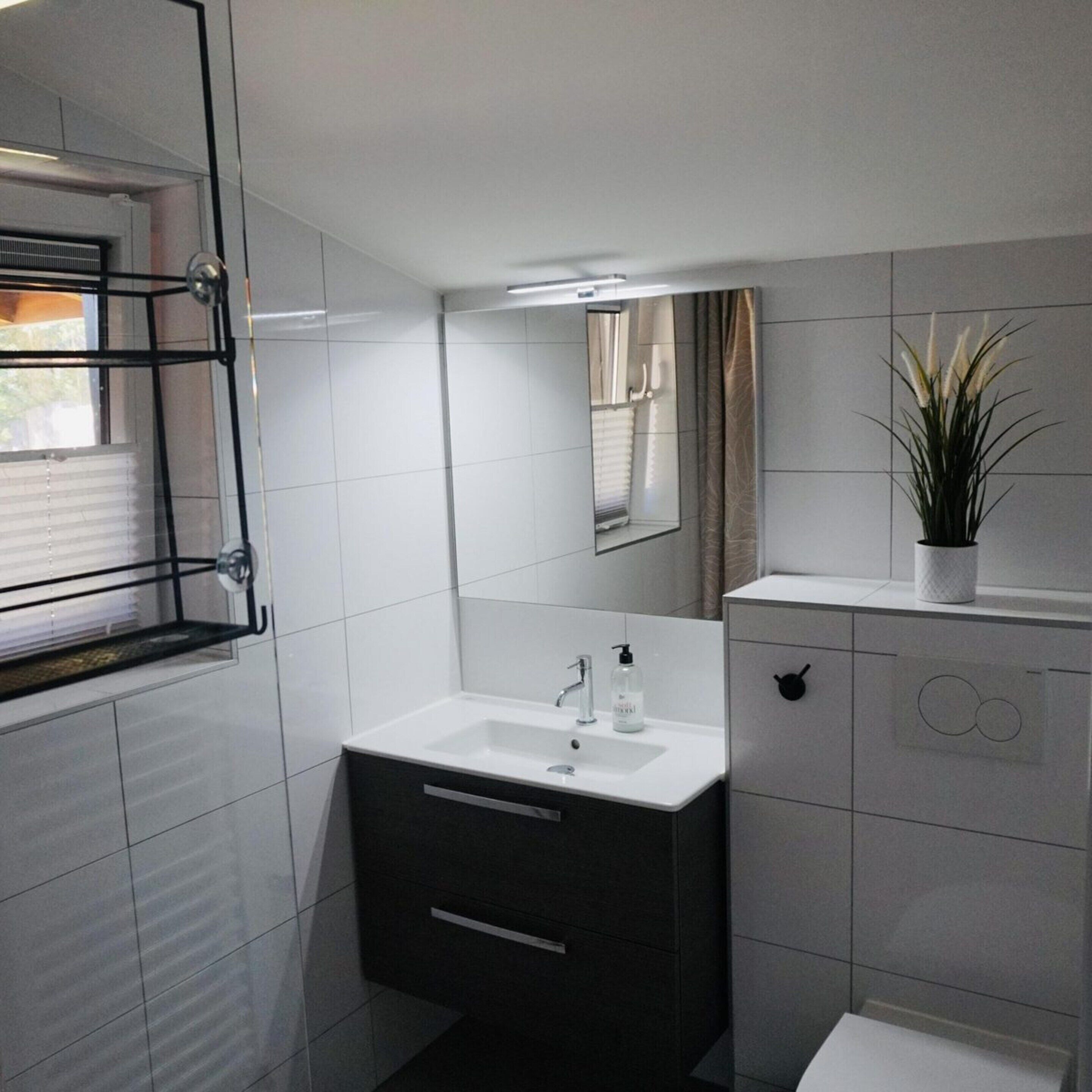 Une salle de bain moderne avec une douche à l’italienne en verre, un lavabo blanc avec un miroir au-dessus et une plante en pot posée sur le meuble-vasque.