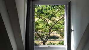 A skylight window with a view of a tree and a white ceiling.