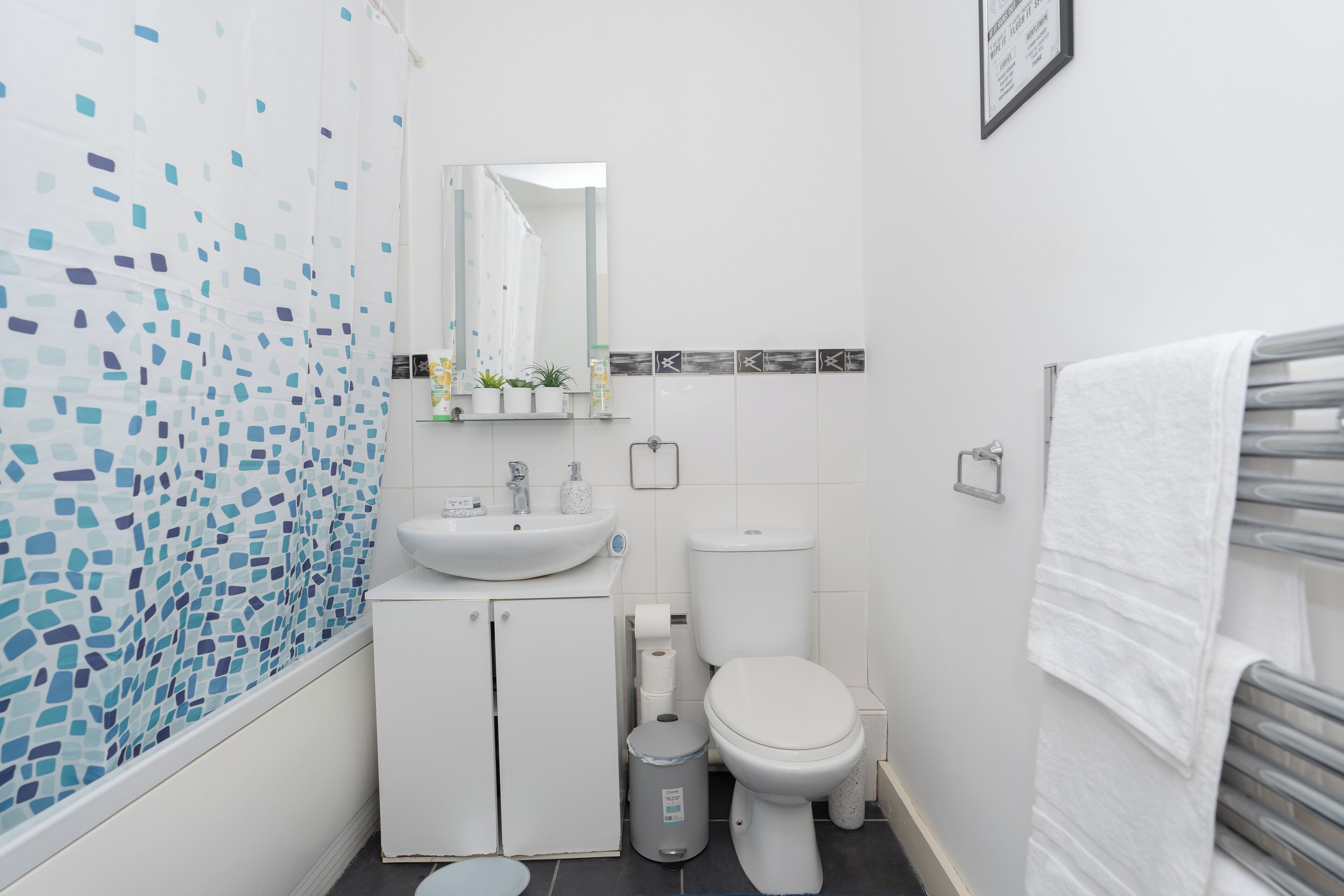 Hair dryer, towels, toilet paper