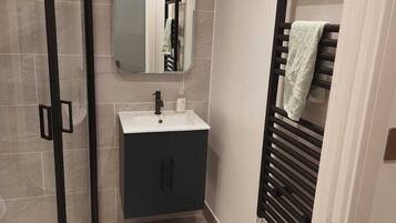 Shower, towels, toilet paper