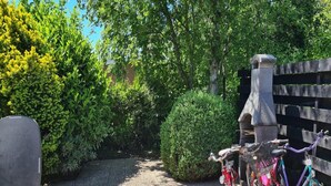 Um caminho pavimentado com bicicletas estacionadas à direita, cercado por vegetação e uma cerca de madeira.