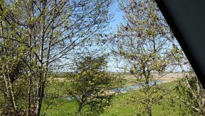 Une vue d’un champ herbeux avec une étendue d’eau et des arbres.