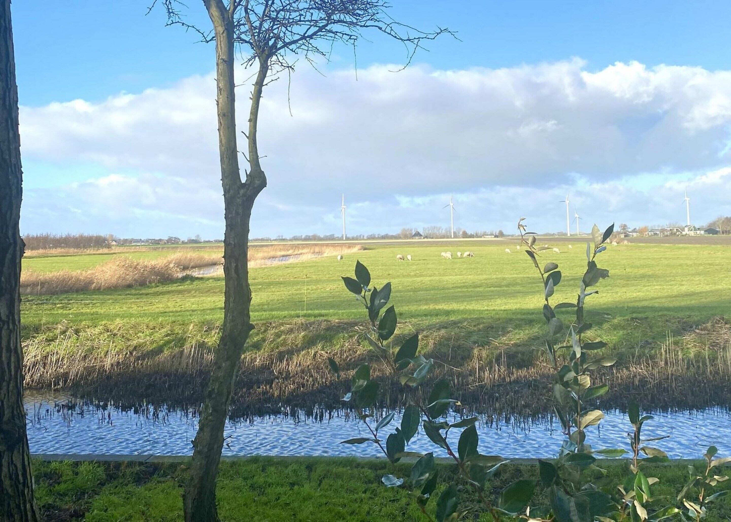 A rural landscape with a body of water, a grassy field, and wind turbines in the distance.