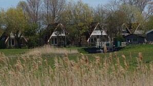 Une rangée de maisons traditionnelles aux toits à forte pente, entourées d’un champ herbeux et d’arbres.