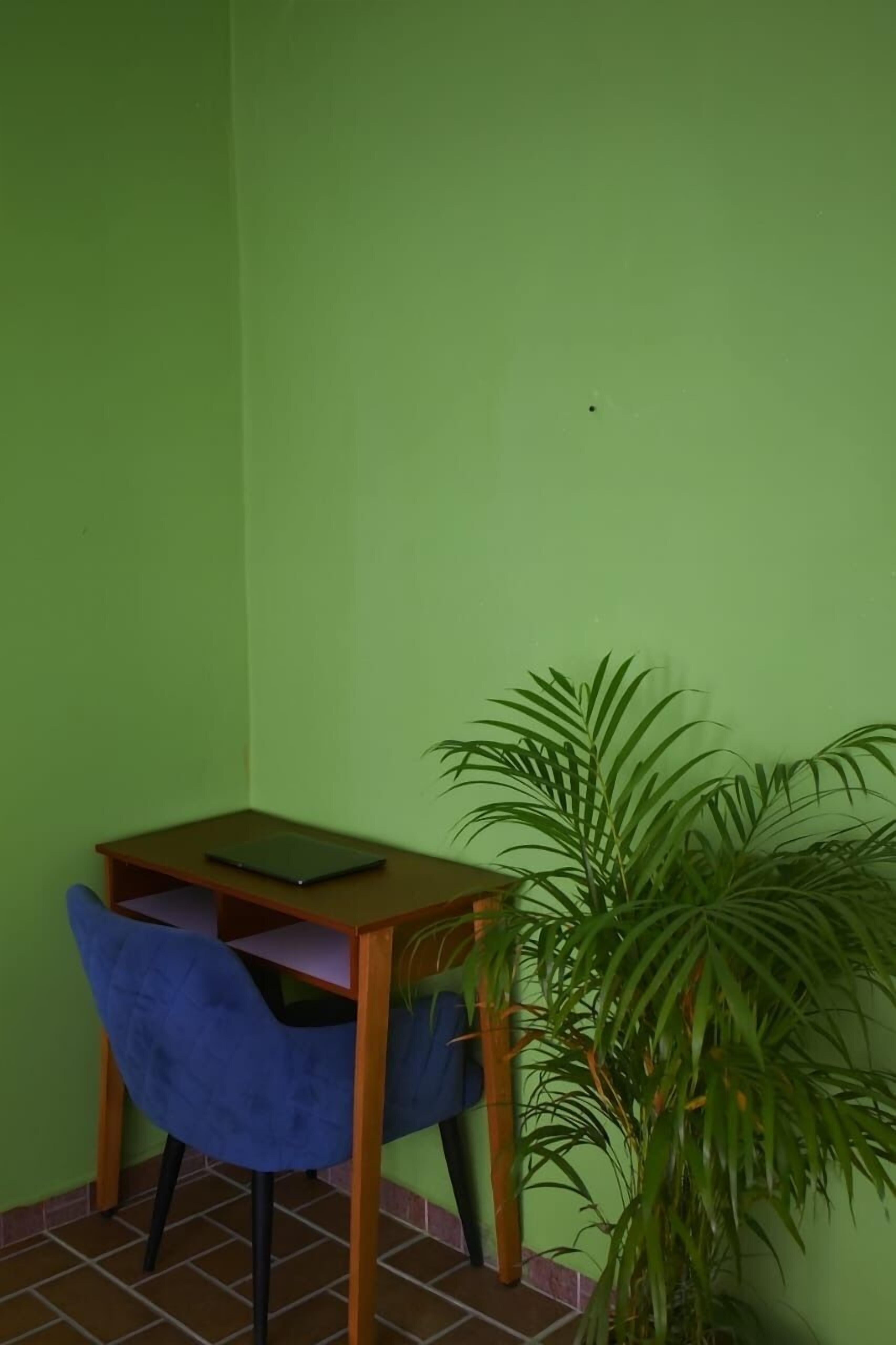 Foto - Hostal Casa Alixel