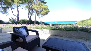 テラス / パティオ