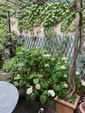 Terraza o patio