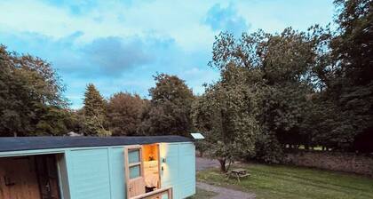 Shepherds Hut with Hot Tub
