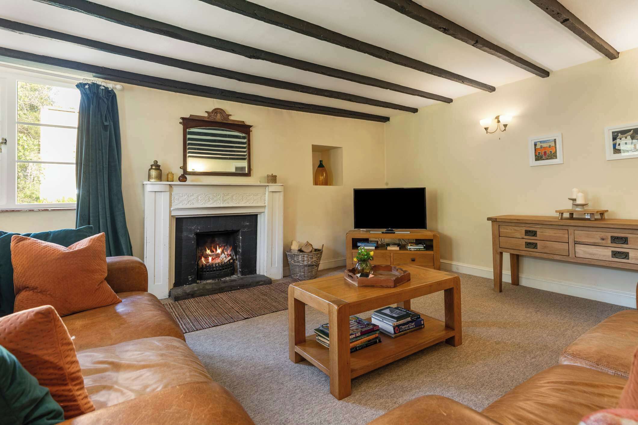 Smart TV, fireplace, books