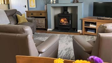 Smart TV, lareira, livros