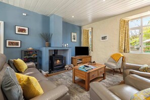 Smart TV, chimenea y libros 