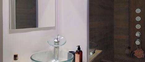 Regadera, amenidades de baño ecológicas, secadora de cabello, bidet