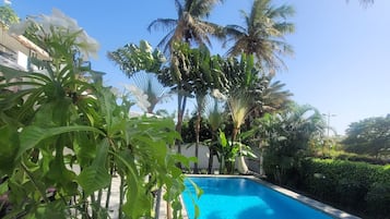 Zwembad