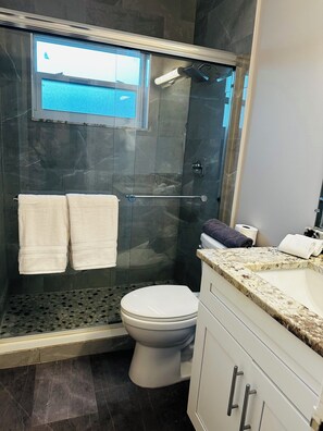 Shower, hair dryer, towels, soap - Chic newly remodeled  2bd 2bath apartment with AC, WiFi in vibrant Delray Beach (Delray Beach)