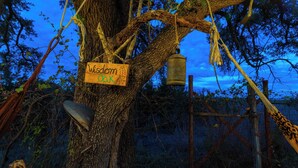 Un árbol con un letrero de madera que dice "Wisdom Oak" y una campana de metal colgando de él.