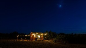Una pequeña cabaña de madera con luces de cuerda y una hamaca, rodeada de árboles.