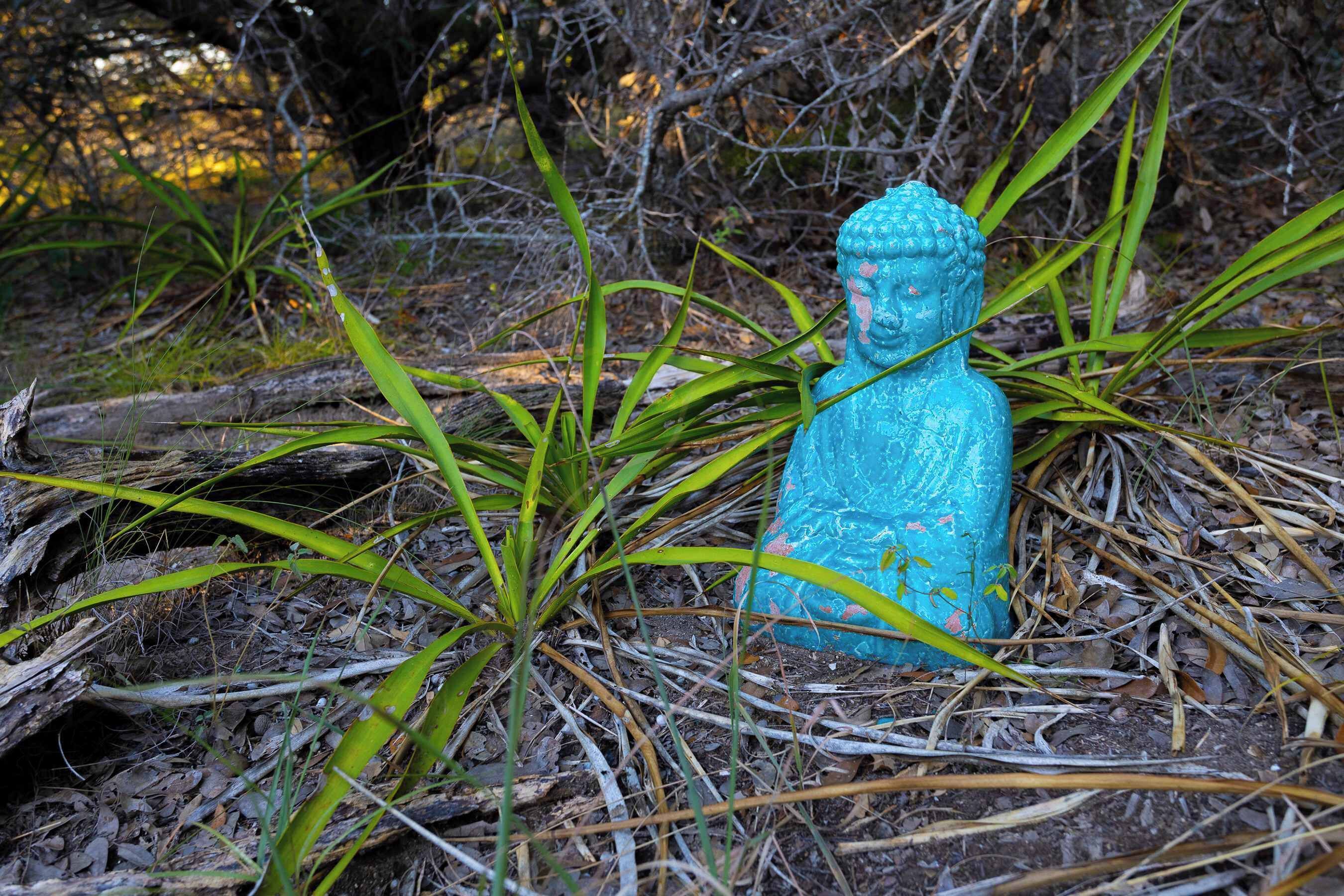 A blue Buddha statue surrounded by green plants and dry leaves.