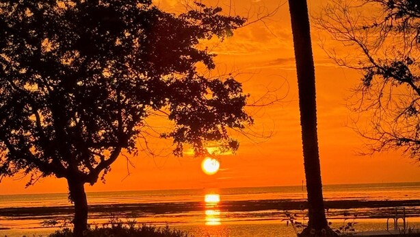 Een zonsondergang boven een strand met palmbomen en een heldere lucht.