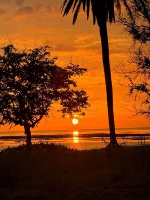 A sunset over a beach with palm trees and a clear sky. - Driftwood Isles - New Gulf View Home with Large deck, Elevator and more! (Hudson)