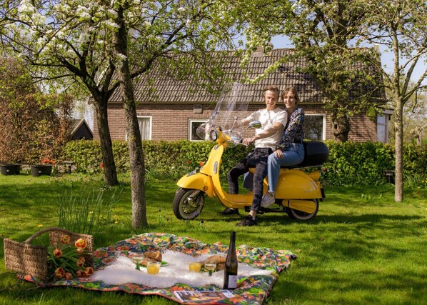 Una pareja en un patinete amarillo en un jardín con una preparación para picnic.