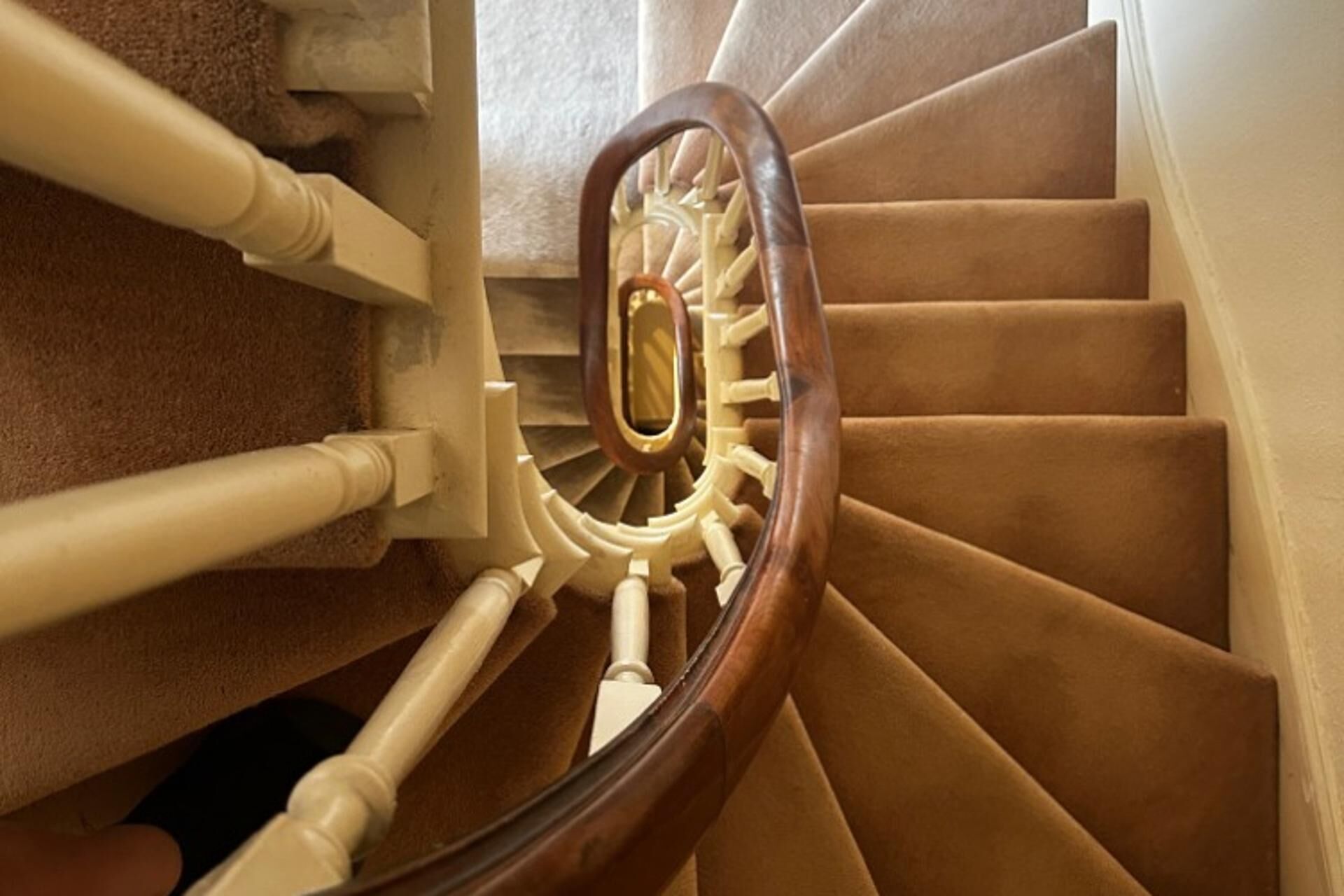 A wooden staircase with beige carpeted steps and a white handrail.
