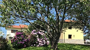 Ein Haus mit Steinuntergrund und gelber Fassade, umgeben von gepflegtem Rasen und blühenden Sträuchern.