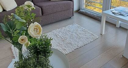 O'Dunes nearby the seaside