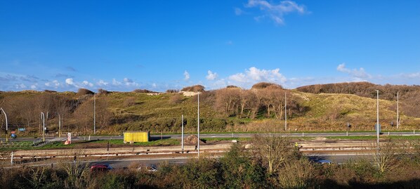 A highway with a yellow container on the side, surrounded by hills and sparse vegetation. - O'Dunes nearby the seaside (Bredene)