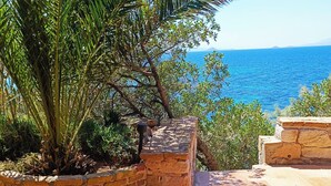 Ein Steinweg führt zu einer Terrasse mit Blick auf das Meer, im Vordergrund eine Palme und weitere Grünpflanzen.