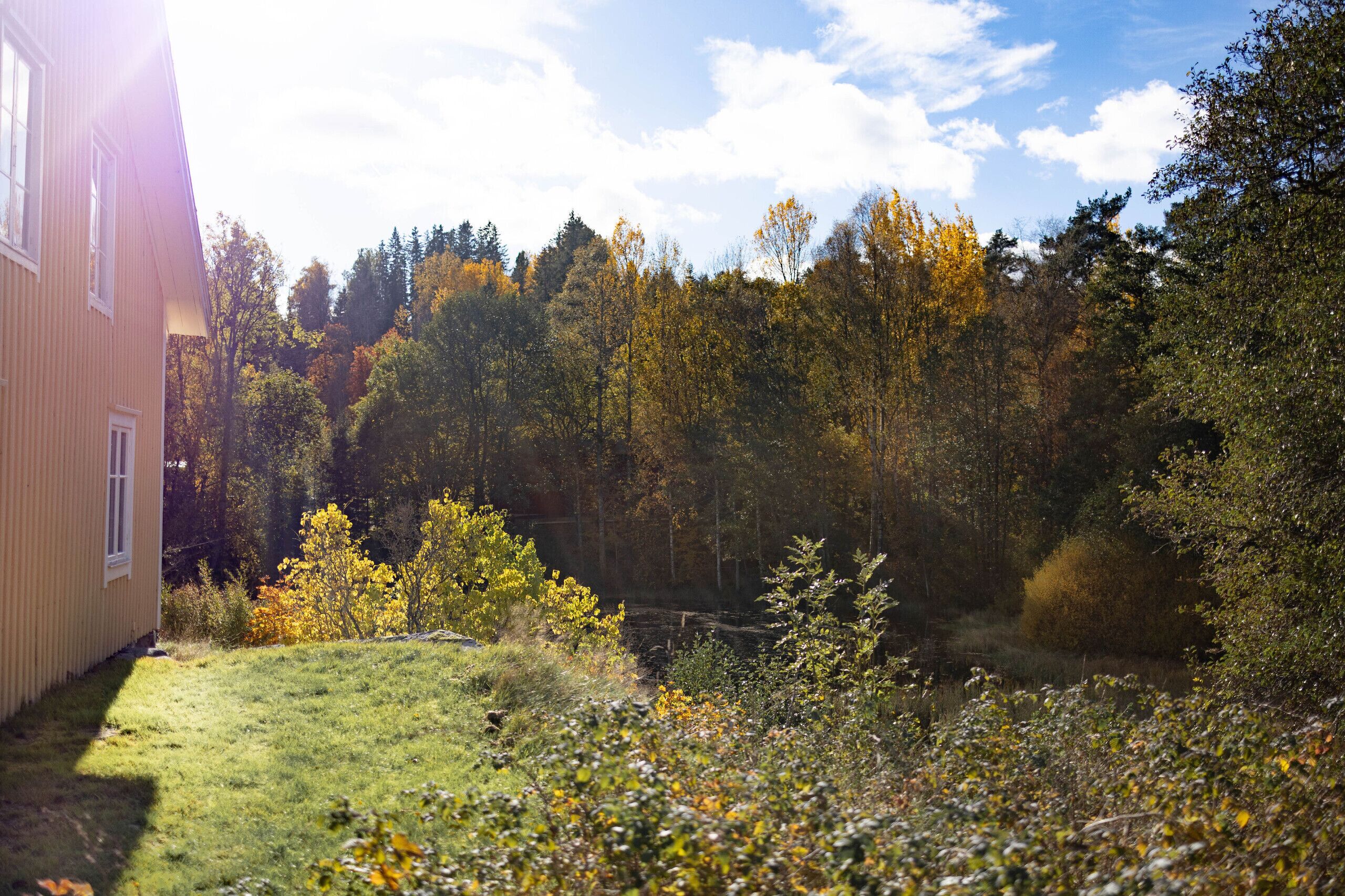 Áreas de la propiedad