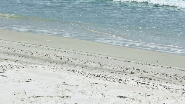 Une plage avec des vagues et un ciel dégagé.