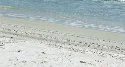 Oceanview Condo-Clean & Comfy-WIFI in Daytona Beach Shores