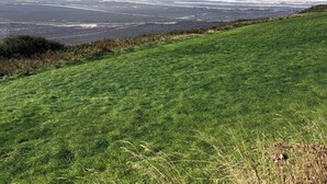 A coastal landscape with a grassy foreground and a view of the sea and a hill in the background. - Renovated farmhouse, 5 mins from the sea (Ferwig)