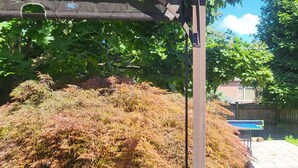 Un jardin avec une terrasse en bois, une piscine et une variété d’arbres et d’arbustes.