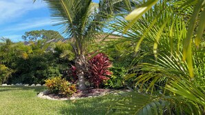 Um jardim bem cuidado com uma palmeira, arbustos variados e gramado.