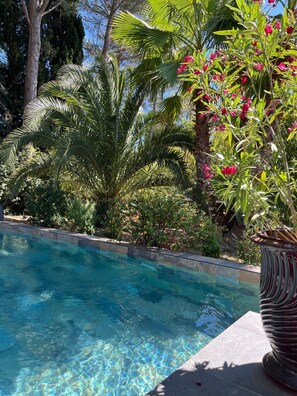 Pool - Rent contemporary architect villa 200m2 Aix en Provence (Aix-en-Provence)