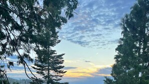 Un paysage boisé, avec des arbres denses et une vue lointaine sur l’horizon.
