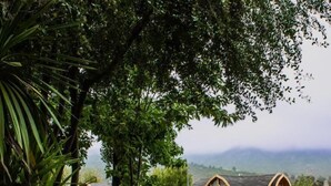 A rustic cabin with a wooden deck, surrounded by lush greenery and a mountainous backdrop. - Colchagua Tiny Lodge (Santa Cruz)
