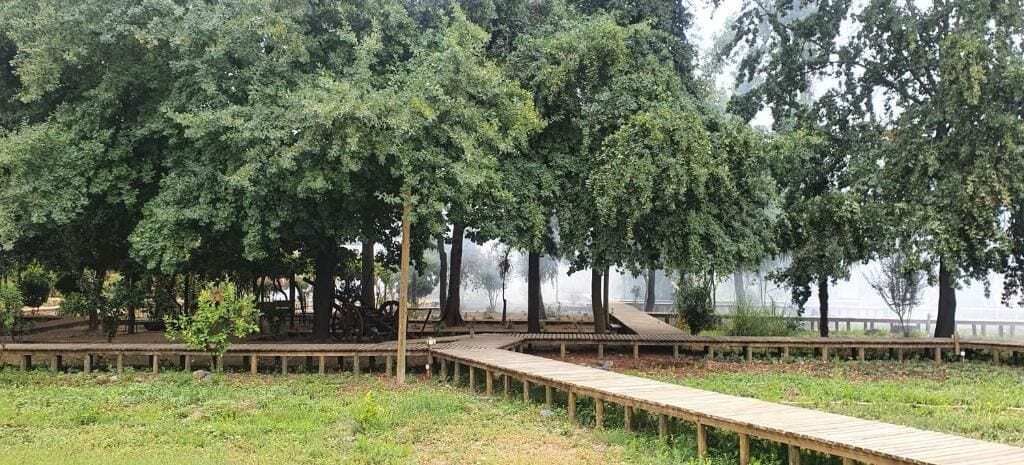Une promenade en bois traverse un parc arboré, avec une étendue d’eau en arrière-plan.